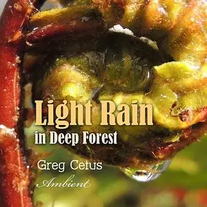 «Light Rain in Deep Forest» by Greg Cetus