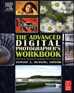 The Advanced Digital Photographer's Workbook: Professionals Creating and Outputting World-Class Images (repost)