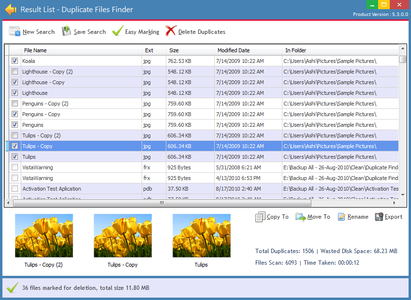 Ashisoft Duplicate File Finder Pro 6.1.1.0 + Portable