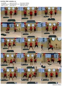 Kelly Coffey-Meyer 30 Minutes to Fitness: Cardio Blast (2009) 