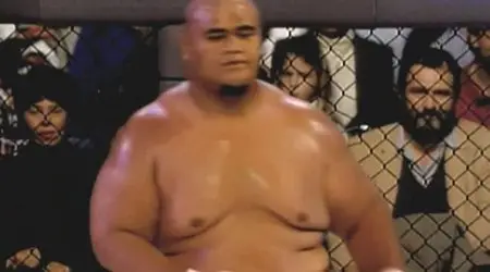 Fighting for a Generation: 20 Years of the UFC (2013)