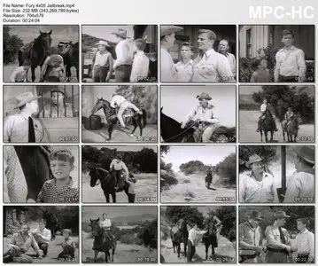 Fury (Brave Stallion) - Complete Season 4 (1958)