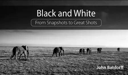 Black and White: From Snapshots to Great Shots (2015 Release)