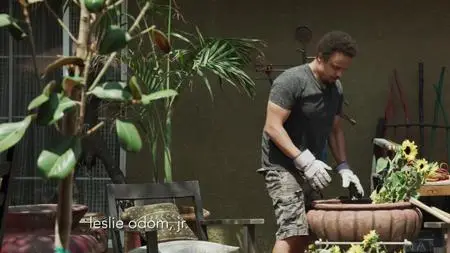 Love in the Time of Corona S01E03