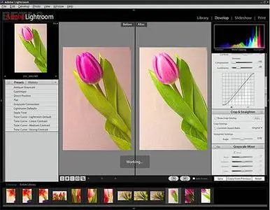 Adobe Lightroom Beta 3 For Windows