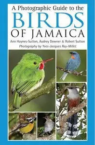 A Photographic Guide to the Birds of Jamaica (Repost)