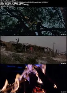 The Road to Sampo (1975)