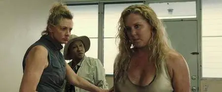 Larguées / Snatched (2017)