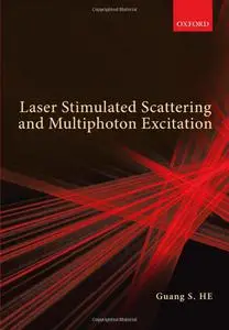 Laser Stimulated Scattering and Multiphoton Excitation