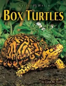 Lynn M. Stone - Box Turtles