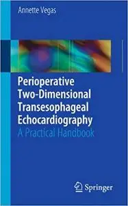 Perioperative Two-Dimensional Transesophageal Echocardiography: A Practical Handbook