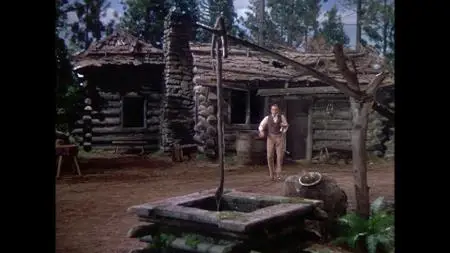 The Paleface (1948)