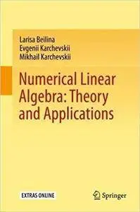 Numerical Linear Algebra: Theory and Applications