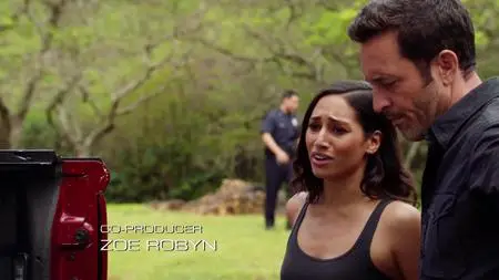 Hawaii Five-0 S10E19