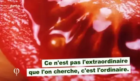 (Arte) Philosophie : Ordinaire (2010)