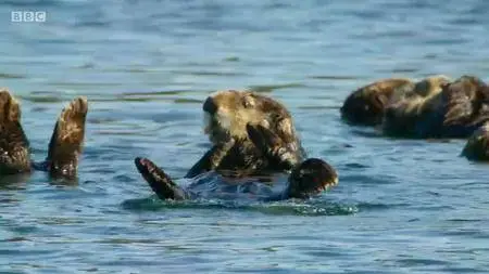 Blue Planet II S01E00