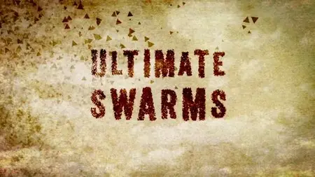 BBC - Ultimate Swarms (2013)