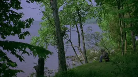 Last Days (2005)