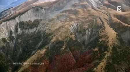 (Fr3) Des racines et des ailes : Passion patrimoine, sur la Route Napoléon (2013)