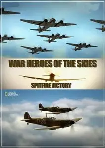 National Geographic - War Heroes Of The Skies (2013)