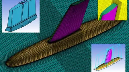 ICEMCFD Master Class (Level 2)