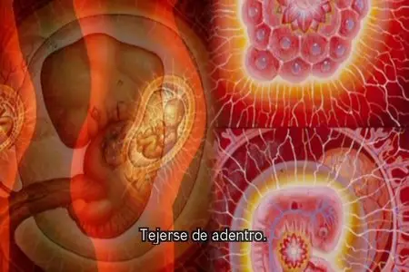 Worldspirit by Alex Grey and Kenji Williams