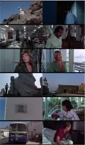 The Passenger (1975) [w/Commentaries]