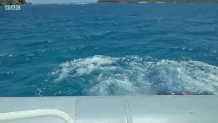 Natural World S37E01