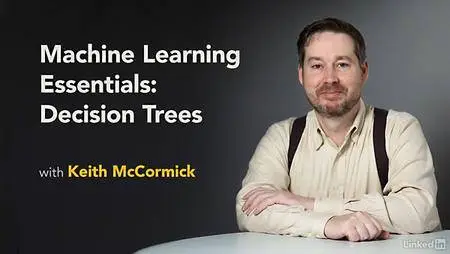 Lynda - Machine Learning Essentials: Decision Trees