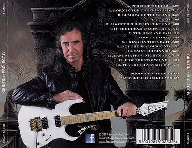 Giuntini - Project IV (2013)
