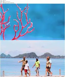 Journey to the South Pacific (2013)