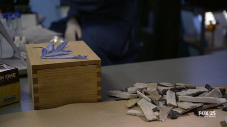 Bones S05E03 The Plain in the Prodigy