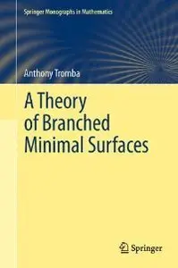 A Theory of Branched Minimal Surfaces (repost)