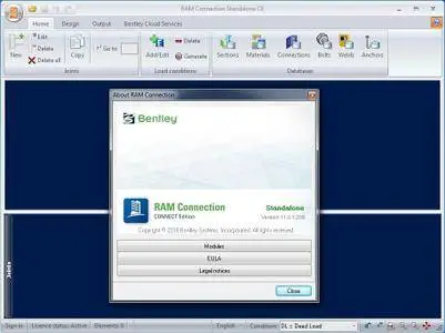 RAM Connection CONNECT Edition 11.00.01.208