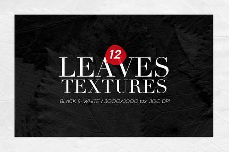 12 Black & White Leaves Textures - 800381