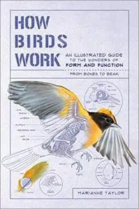 How Birds Work: An Illustrated Guide to the Wonders of Form and Function―from Bones to Beak