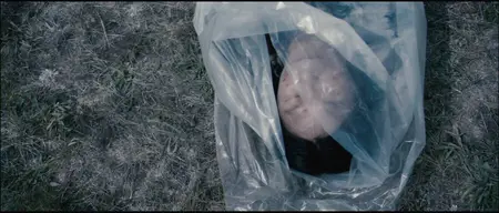 The Thaw (2009)