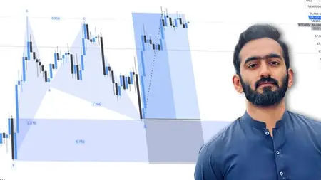 Technical Analysis: Crypto Harmonic Patterns - Latest 2024