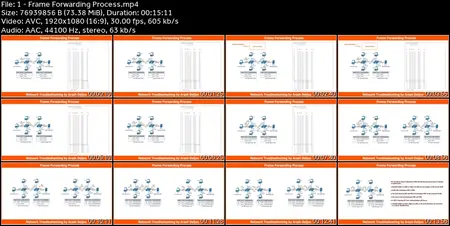 Complete Teaching of Network Troubleshooting by Arash Deljoo