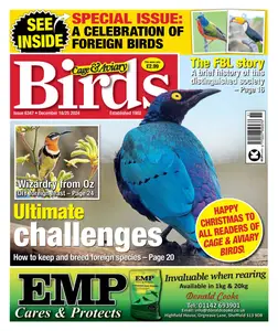 Cage & Aviary Birds - 18 December 2024