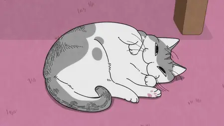 Nights with a Cat - 69