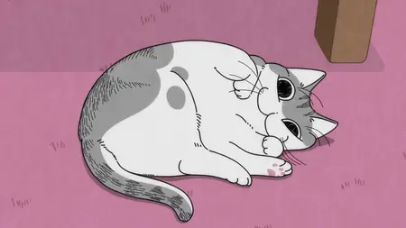 Nights with a Cat - 69
