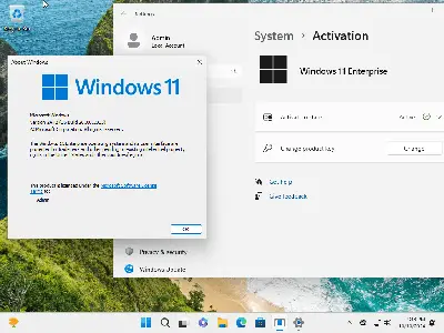 Windows 11 24H2 (No TPM Required) & Windows 10 AIO 32in1 Preactivated October 2024