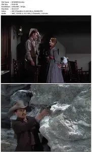 The Stranger Wore a Gun (1953)