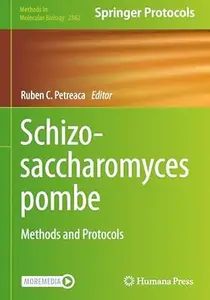 Schizosaccharomyces pombe