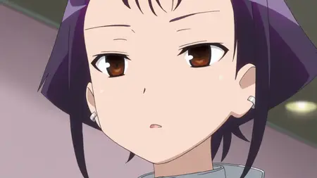 Saki Zenkoku-hen