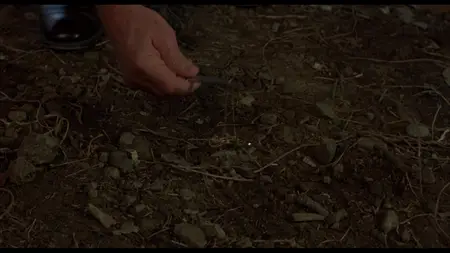 Murphy's Law (1986)