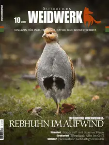 Weidwerk - Oktober 2025