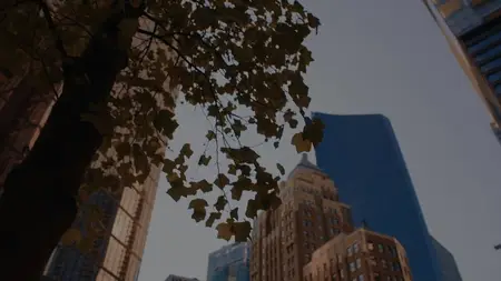 Family Law S04E02