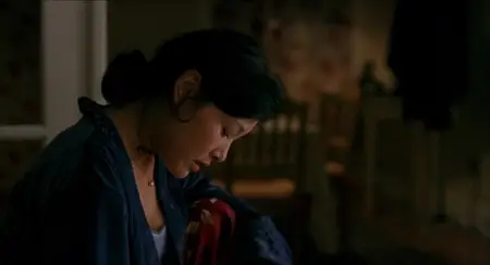 Saving Face (2004)